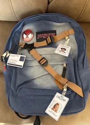 JanSport on Vinted