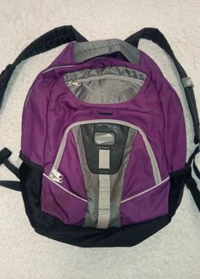 American Tourister on Vinted