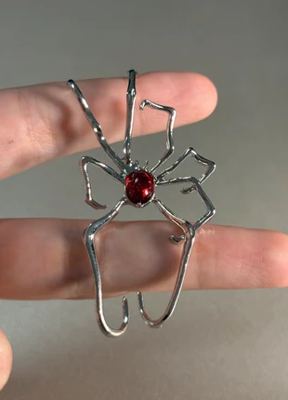 Spider on Vinted