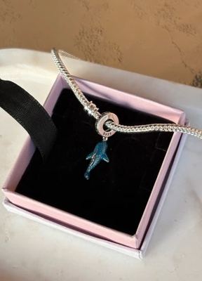 Charm on Vinted